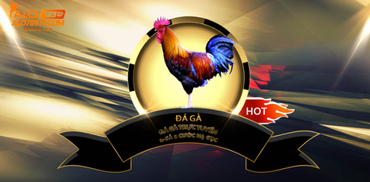 Đa dạng các loại hình đá gà hấp dẫn 